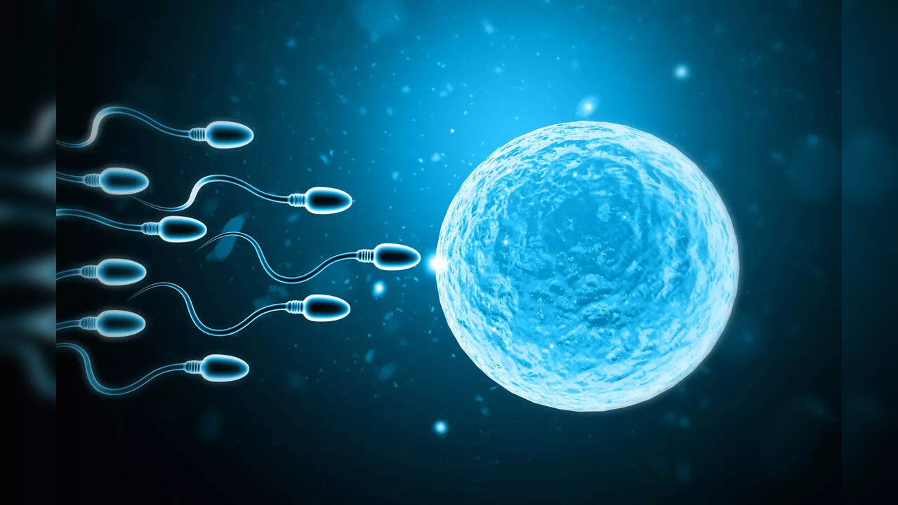 Fertility: 5 interesting facts you need to know | Health News, Times Now