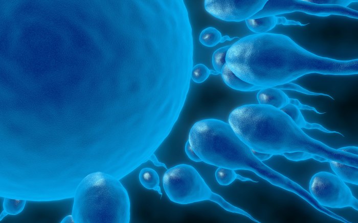 Fertility supplements for women